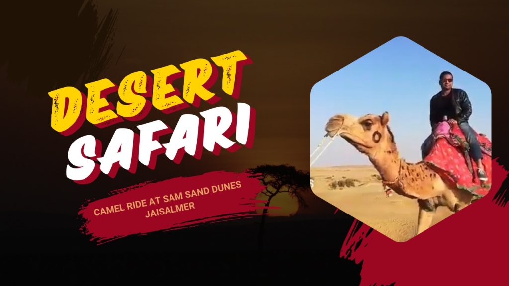 desert safari